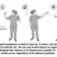 Illustration for article titled Berlins BoomRoom Plays Sounds Only You Can Hear (and Touch)
